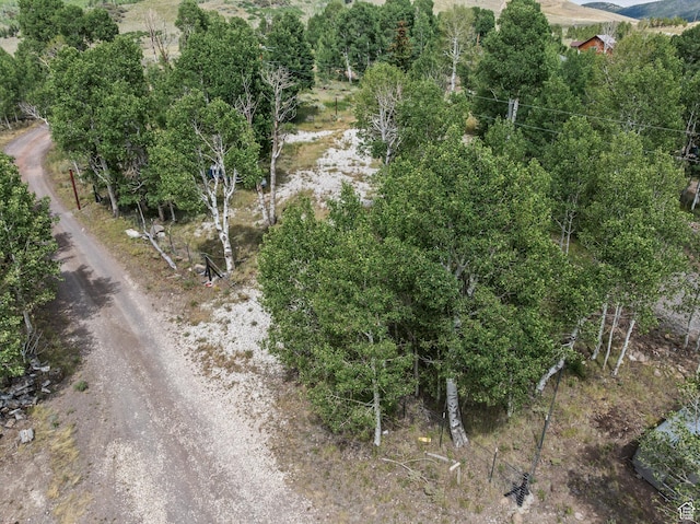 Fish Lake, UT 84701 - photo 23