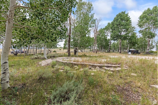 Fish Lake, UT 84701 - photo 18