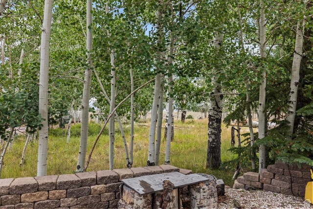 Fish Lake, UT 84701 - photo 6