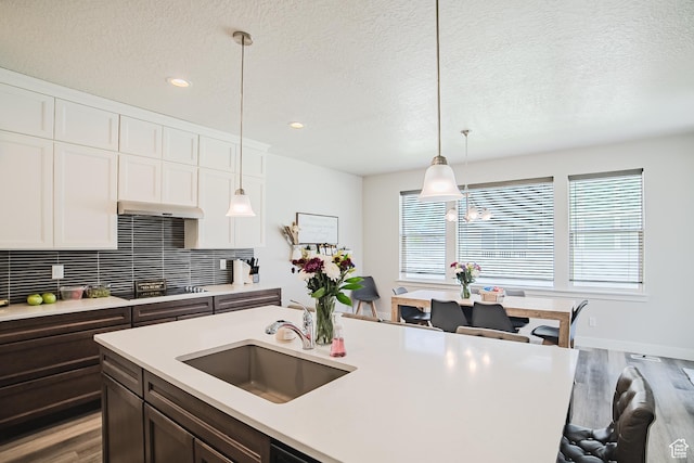 127 E Craner Peak Dr, Eagle Mountain, UT 84005 - photo 11