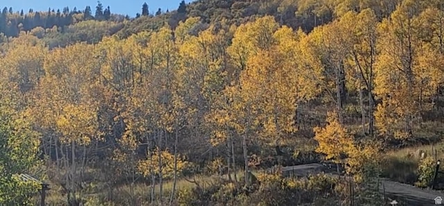 10452 N Basin Canyon Rd, Park City, UT 84098 - photo 82