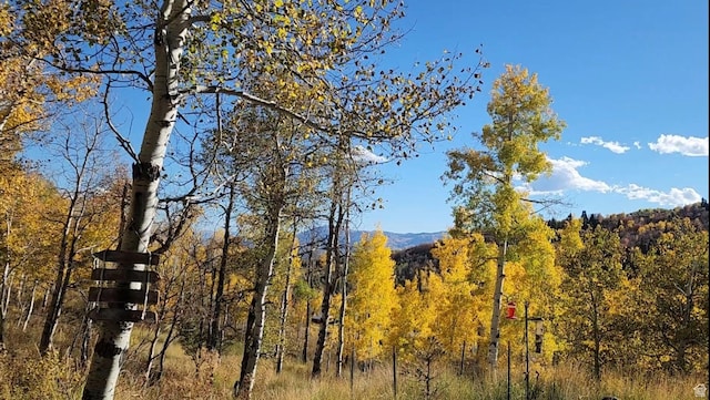 10452 N Basin Canyon Rd, Park City, UT 84098 - photo 81