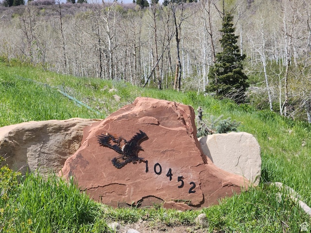10452 N Basin Canyon Rd, Park City, UT 84098 - photo 2