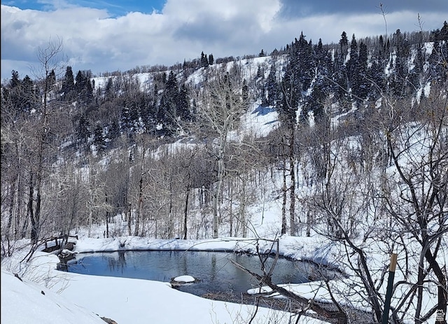 10452 N Basin Canyon Rd, Park City, UT 84098 - photo 90