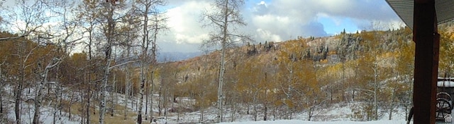10452 N Basin Canyon Rd, Park City, UT 84098 - photo 70