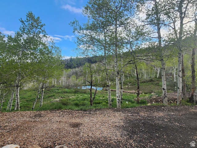 10452 N Basin Canyon Rd, Park City, UT 84098 - photo 47