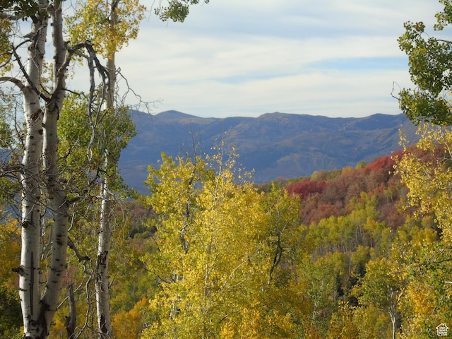10452 N Basin Canyon Rd, Park City, UT 84098 - photo 71
