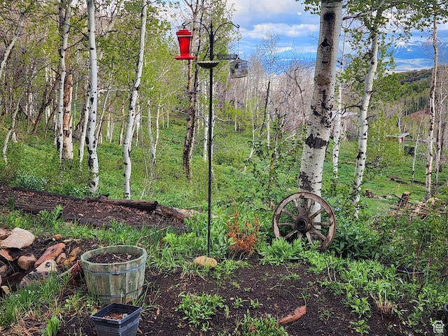 10452 N Basin Canyon Rd, Park City, UT 84098 - photo 45