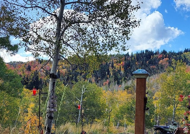 10452 N Basin Canyon Rd, Park City, UT 84098 - photo 80