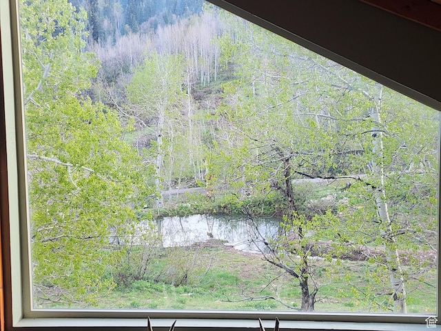10452 N Basin Canyon Rd, Park City, UT 84098 - photo 44