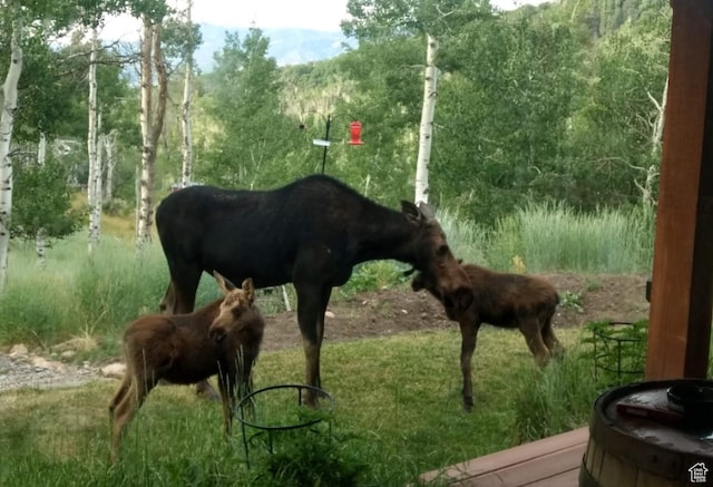 10452 N Basin Canyon Rd, Park City, UT 84098 - photo 101