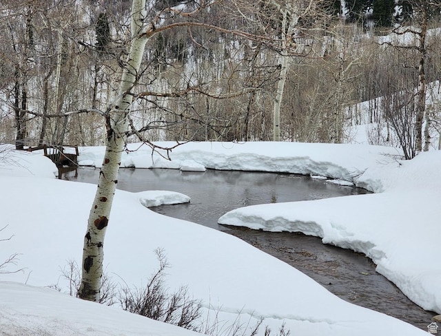 10452 N Basin Canyon Rd, Park City, UT 84098 - photo 89
