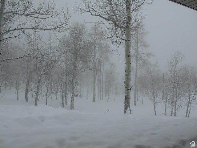 10452 N Basin Canyon Rd, Park City, UT 84098 - photo 65