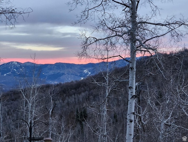 10452 N Basin Canyon Rd, Park City, UT 84098 - photo 83