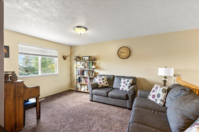 231 E Box Elder Dr, Grantsville, UT 84029 - photo 22