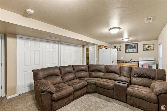 231 E Box Elder Dr, Grantsville, UT 84029 - photo 14