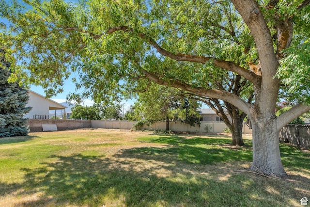 1151 S 300 W, Orem, UT 84058 - photo 5