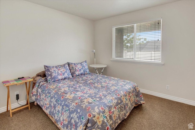 1184 W Margaret Rose Dr, Riverton, UT 84065 - photo 16