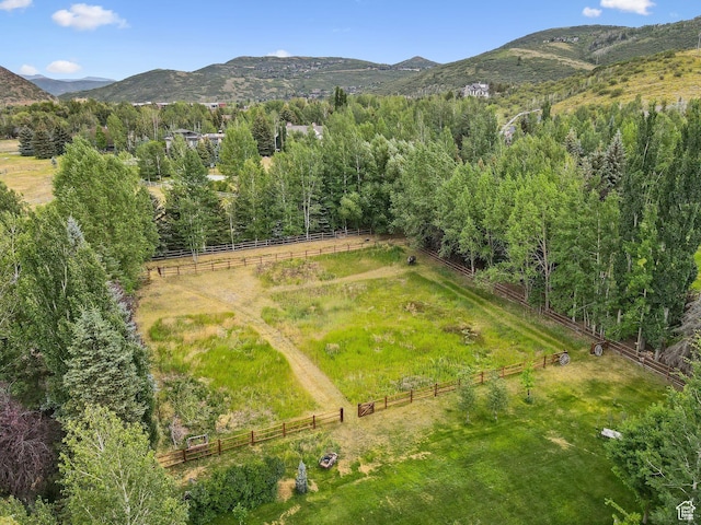 2350 Lucky John Dr, Park City, UT 84060 - photo 11