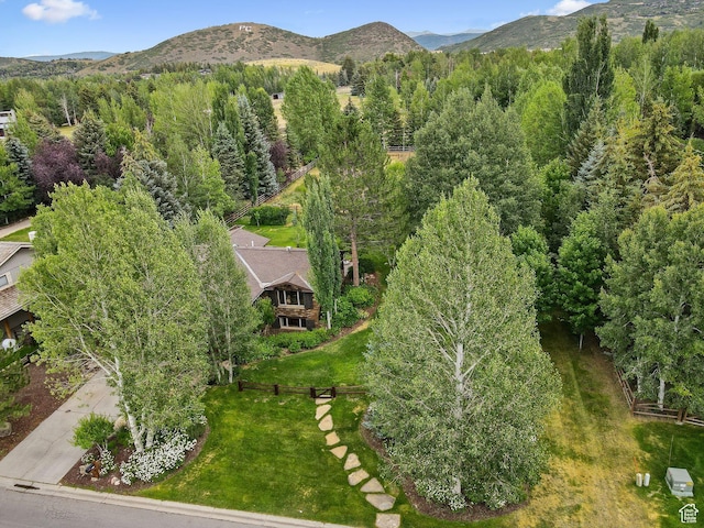 2350 Lucky John Dr, Park City, UT 84060 - photo 20