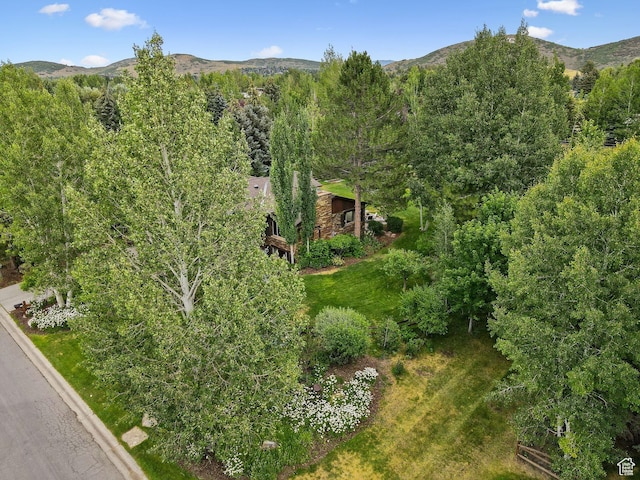 2350 Lucky John Dr, Park City, UT 84060 - photo 16