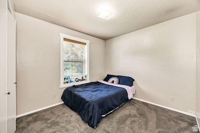 55 W 300 N, Hyde Park, UT 84318 - photo 17