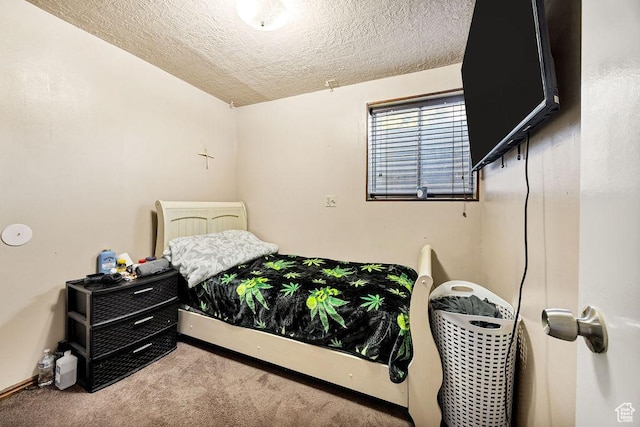55 W 300 N, Hyde Park, UT 84318 - photo 27