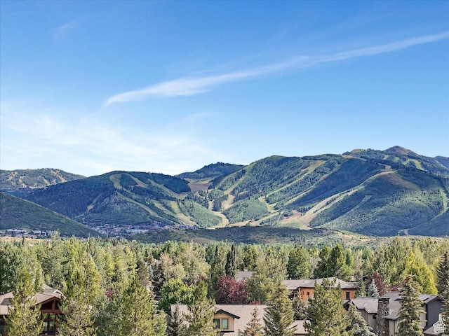2703 Gallivan Loop, Park City, UT 84060 - photo 2