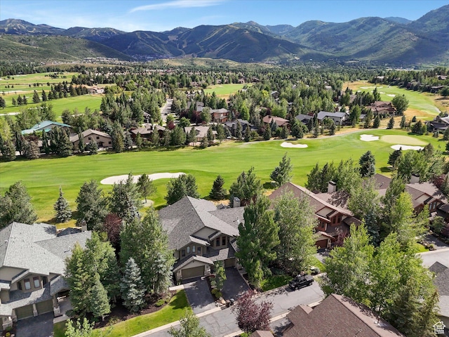 2703 Gallivan Loop, Park City, UT 84060 - photo 4