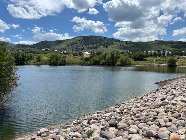 10088 E Rdg Pine Dr Unit 1199-C, Heber City, UT 84032 - photo 83
