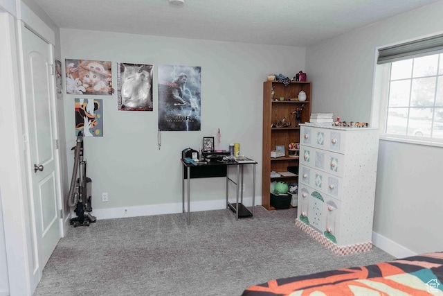 948 Vitt Dr, Ogden, UT 84404 - photo 21