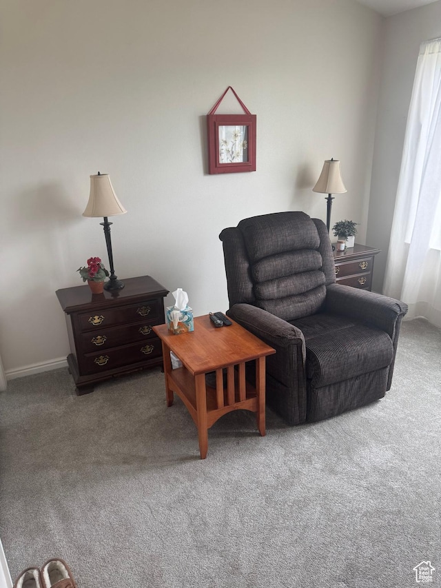 19180 N 7000 E, Mount Pleasant, UT 84647 - photo 12