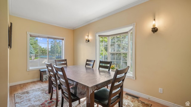 404 Cottage Ct, Midway, UT 84049 - photo 5
