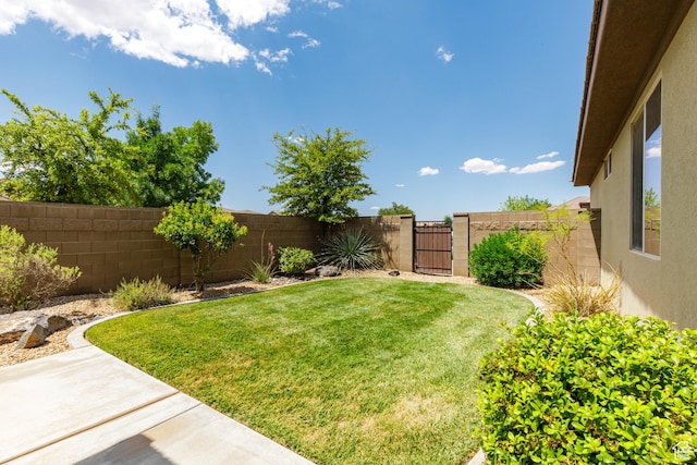 960 N Silver Lode Ave, Washington, UT 84780 - photo 22