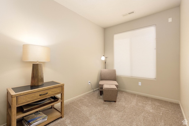 960 N Silver Lode Ave, Washington, UT 84780 - photo 13