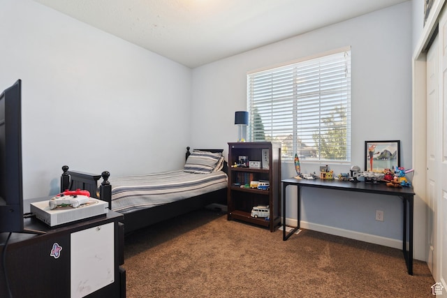 13 W Clear Water Dr, Stansbury Park, UT 84074 - photo 18