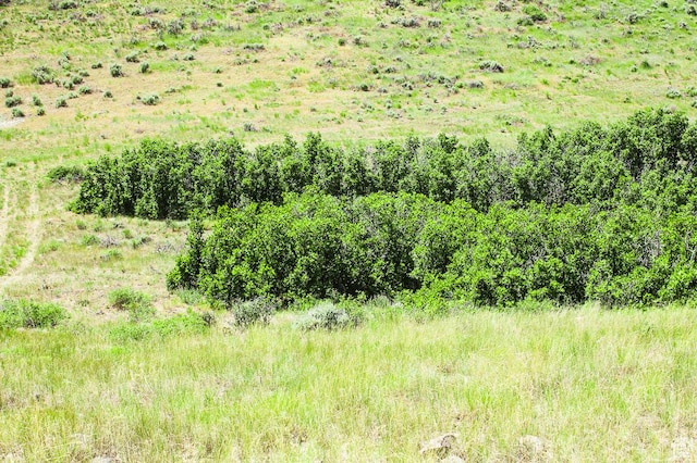 1255 S W Hoytsville Rd W, Hoytsville, UT 84017 - photo 84