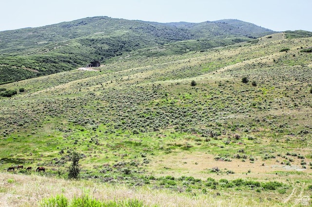 1255 S W Hoytsville Rd W, Hoytsville, UT 84017 - photo 74