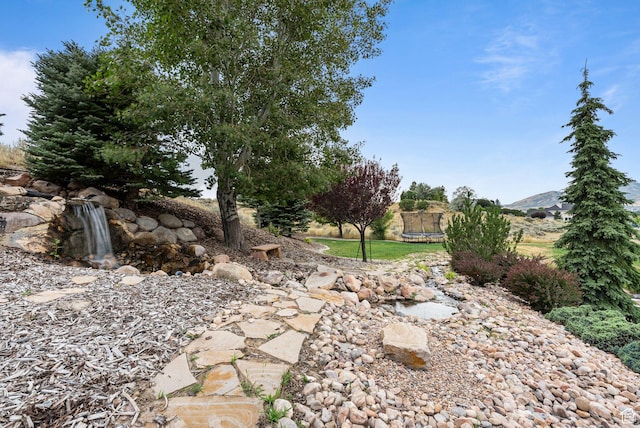 596 S Cascade Ct, Alpine, UT 84004 - photo 54