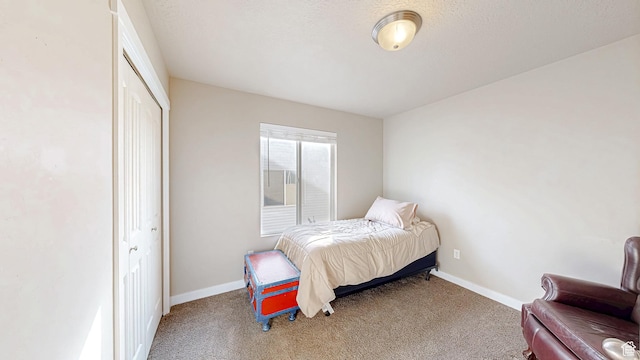 214 W Quartz Rd, Tooele, UT 84074 - photo 17