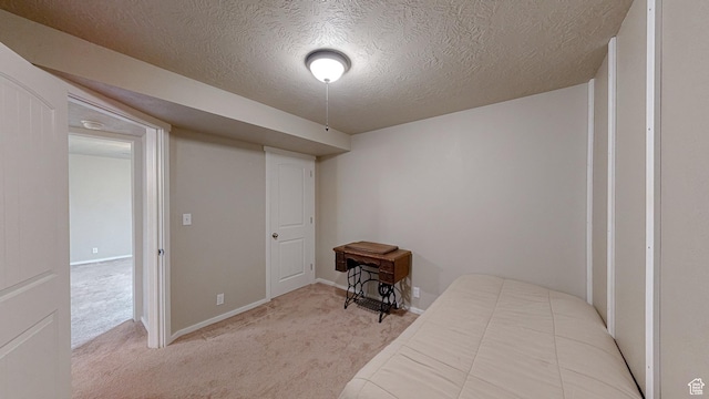 214 W Quartz Rd, Tooele, UT 84074 - photo 27