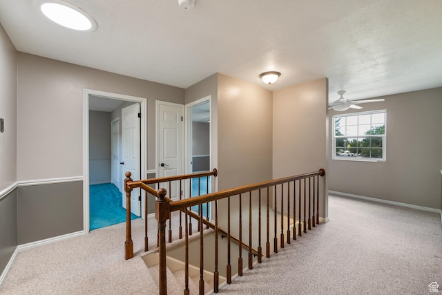 5540 S Walden Meadows Pl, Salt Lake City, UT 84123 - photo 20