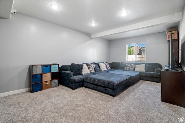 885 S Criddle Rd, Syracuse, UT 84075 - photo 28