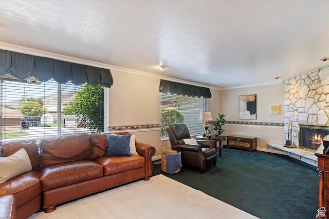 1008 E 250 S, Bountiful, UT 84010 - photo 24