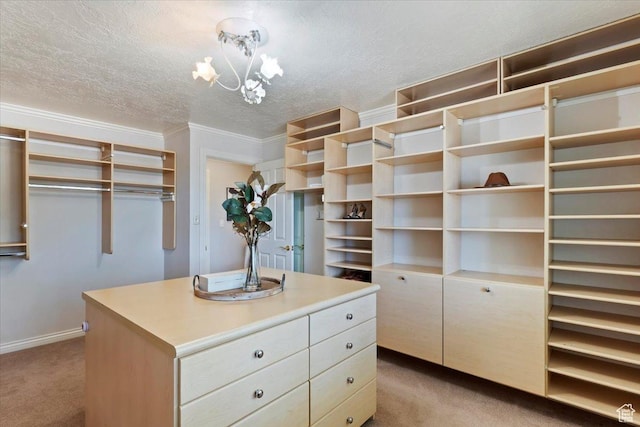 1008 E 250 S, Bountiful, UT 84010 - photo 18