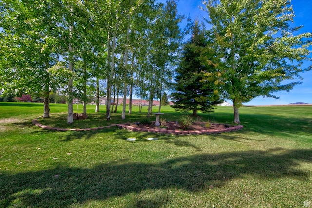 2565 S Country Club Dr, Garden City, UT 84028 - photo 7