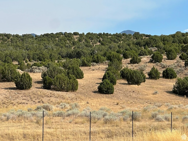 8300 N 3300 E, Holden, UT 84636 - photo 7