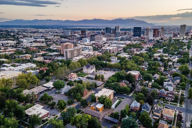 563 E First Ave, Salt Lake City, UT 84103 - photo 30