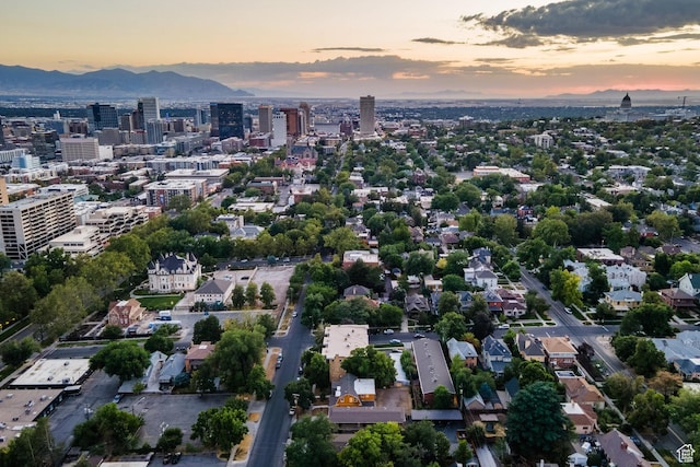 563 E First Ave, Salt Lake City, UT 84103 - photo 5