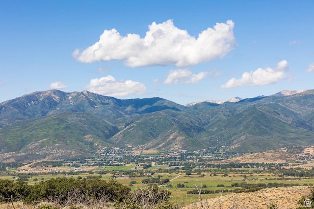 2005 N Lookout Peak Cir, Heber City, UT 84032 - photo 51